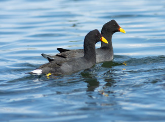 Mar del Plata - Buenos Aires - Argentina 