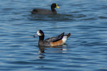 Mar del Plata - Buenos Aires - Argentina 
