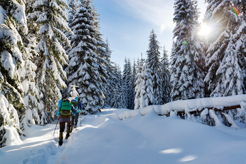 winter trekking in a mountain forest