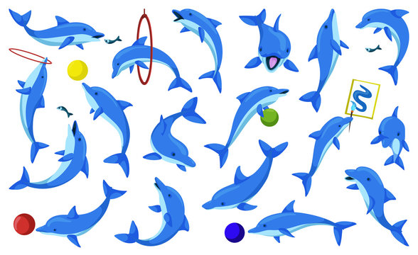 Dolphin Sea Animal Cartoon Vector Set Icon Vector Illustration Blue Cute Dolphin Isolated Cartoon Vector Icon Sea Fish On White Background Stock Vector Adobe Stock