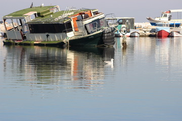 boats in harbor