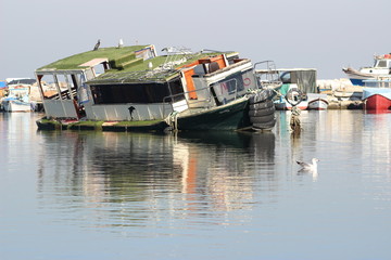 boats in harbor