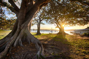 Fototapeta premium Watsons Bay close to Sydney, NSW, Australia