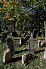 Old Weathered Tombstones On Jewish Cemetery In Prague In The Czech Republic
