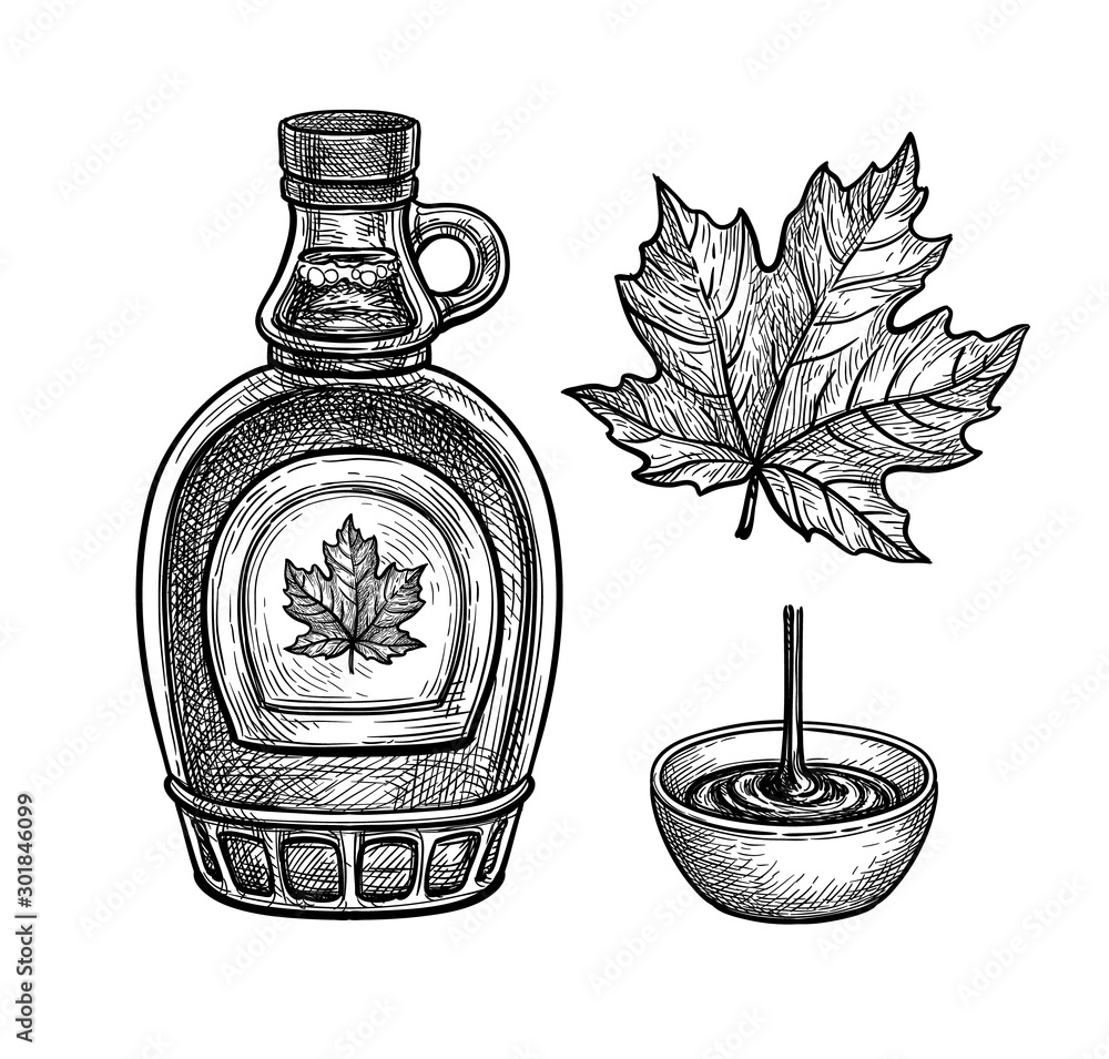 Wall mural Ink sketches of maple syrup and leaf