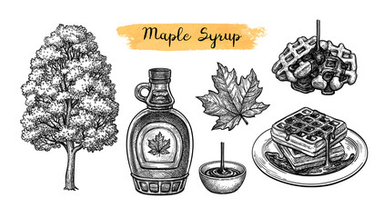 Maple syrup set - obrazy, fototapety, plakaty