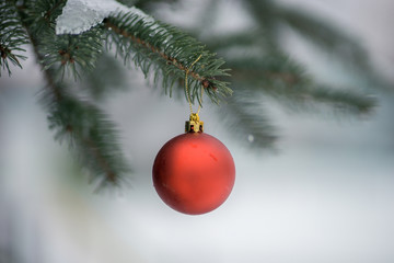 Obraz na płótnie Canvas Christmas ball on a snow-covered Christmas tree.