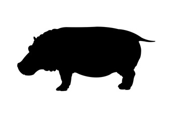 Hippo silhouette vector illustration isolated