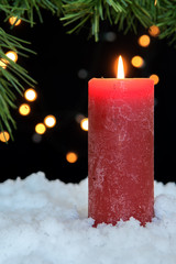 Lit candles with pines in snow on black background.