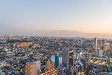Fototapeta na wymiar 東京都世田谷区三軒茶屋から見る東京の夕景