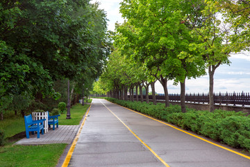 park with an asphalt road and yellow markings for bicycles and pedestrians with trees growing in a row along the road and places for rest with wooden benches, nobody.