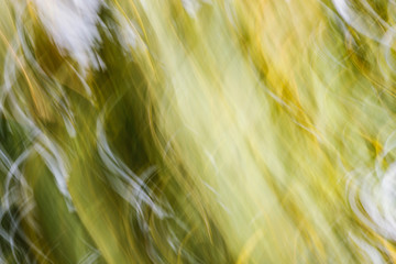 Natural abstract background with blurry forest photographed with moving camera, blurred forrest,...