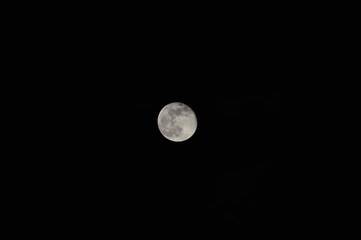moon in the sky