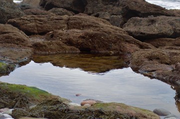 Puddle in Rocks