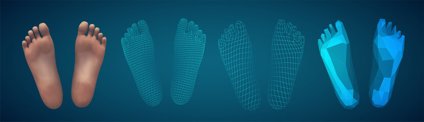 3d illustration,vector foot volume, health and shoe selection