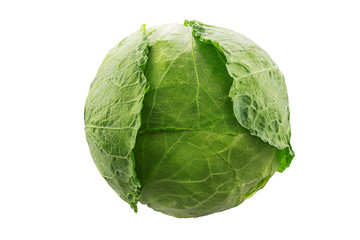 Green cabbage vegetable isolated on white background