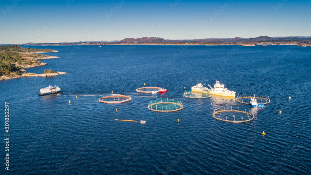 Wall mural salmon fish farm. hordaland, norway.