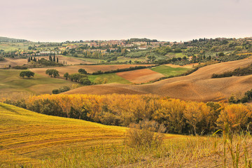 Fototapeta premium landscape of hills tuscany in autumn in Italy