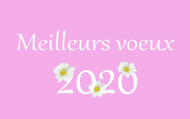 Obraz na płótnie Canvas meilleurs voeux 2020, sur fond rose