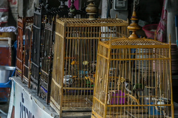 2011.05.11, Phuket, Thailand. wild songbirds in cages at the market.