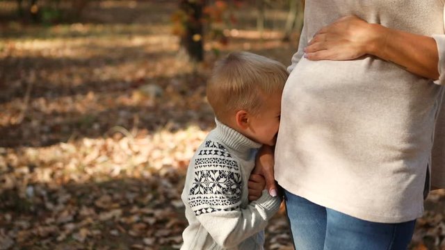 Shy, diffident little boy with pregnant mom holding hands in sunny autumn park. 