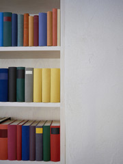 Accurate bookcase with colorful covers in white wall