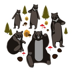 Set of bears on a white vector