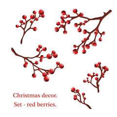 Holly branches with red berries - set for decoration. Traditional festive decoration. Holly branch...