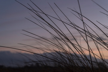 sunset in the dunes - Schillig
