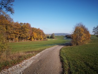 lane in autumn