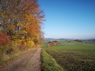 Naklejka premium beautiful autumn landscape