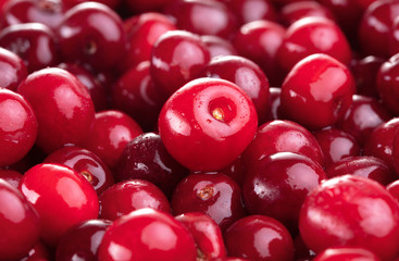 heap of fresh cherry fruits as textured background