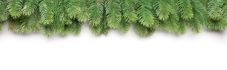 christmas fir tree as background with frame