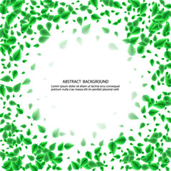  White abstract background with green leaves. Frame design