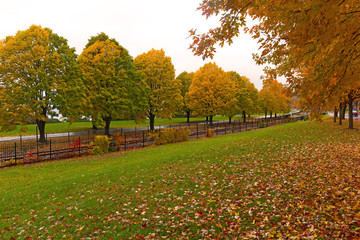 Colorful autumn landscape with deciduous trees in Burlington, Vermont, USA. Footpath near railroad on a rainy day in fall season.