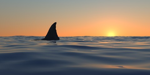 Great white shark at the ocean extremely detailed and realistic high resolution 3d illustration