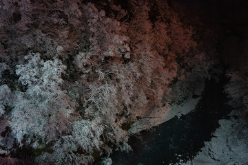 Obraz na płótnie Canvas 冬の白髭の滝