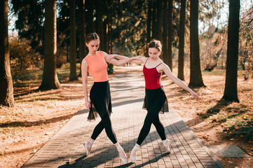 Two elegant female ballet dancers dancing outdoor in park valley