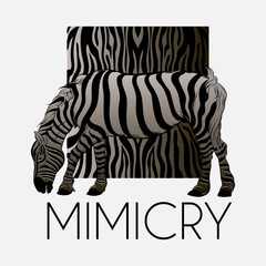 Mimicry. Vector hand drawn illustration of zebra with animalistic background isolated. Creative  artwork. Template for card, poster, banner, print for t-shirt, pin, badge, patch.
