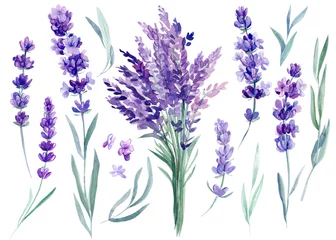 Fototapete Lavendel Satz Lavendelblüten, Blumenstrauß aus Lavendelblüten auf einem isolierten weißen Hintergrund, Aquarellillustration, Handzeichnung