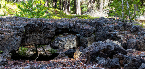 Lava Tube near Lava Lake in Oregon