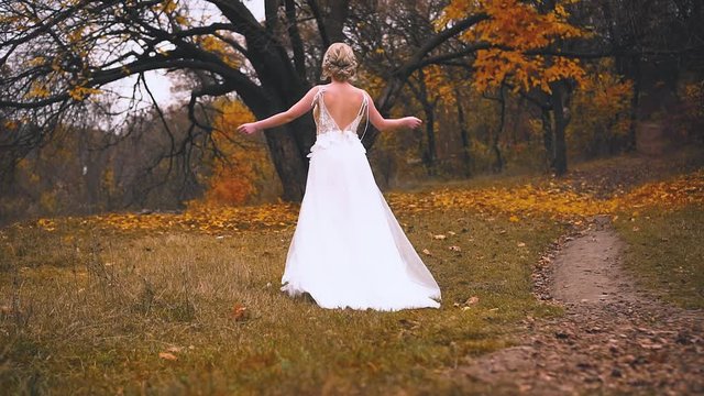 blonde woman with collected elegant fashion hairstyle walks in nature. white long vintage dress with train and open back. Shooting without face. Background old tree with yellow fallen leaves, autumn