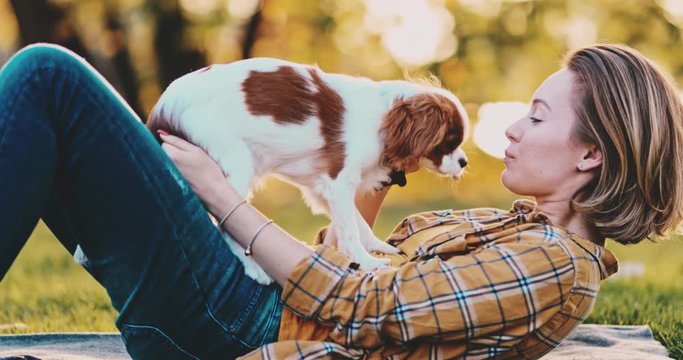 Puppy Cuddling With Owner, Young Woman, Relaxing On The Grass In Park. SLOW MOTION. Cavalier King Charles Spaniel dog enjoying sunny sunset outdoors, hugging with smiling girl. Pet and owner love. 