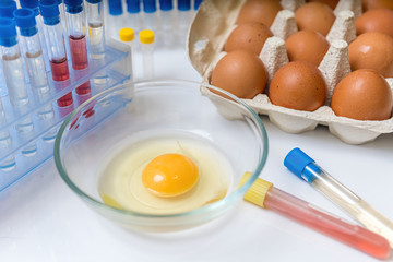 Food research control concept. Yolk in bowl in laboratory.