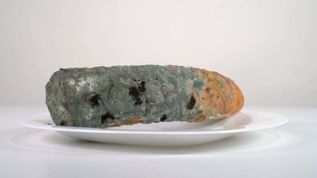 Mouldy white bread in a plate rotates in front of the camera