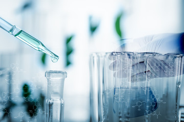 Dropper over test tube dropping sample chemical into sample herbal plaint , biotechnoloy research concept.Natural extracts