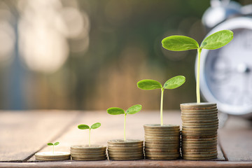 Money coin stack growing graph with sun light bokeh background,investment concept.plant growing on coin,Business Finance and Save Money concept