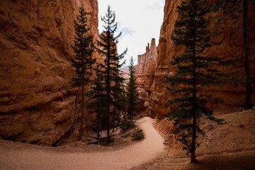 Bryce Canyon National Park