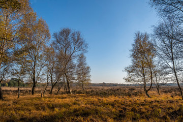 Naturschutzgebiet Zwillbrocker Venn