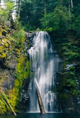 Vertical shot of a beautiful waterfall in the forest in the mountains